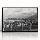 Framed acrylic wall art showcasing a striking zebra design, featuring bold black and white stripes, perfect for adding a touch of wildlife elegance to home decor.