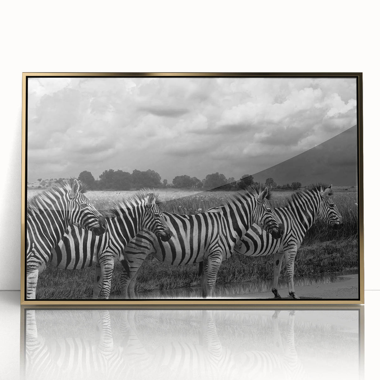 Framed wall art featuring a striking zebra design set against a gold-accented background, perfect for adding a touch of wildlife elegance to any modern decor.