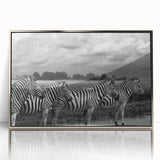 Framed acrylic wall art showcasing a striking zebra design, featuring bold black and white stripes, ideal for wildlife-themed decor in contemporary spaces.