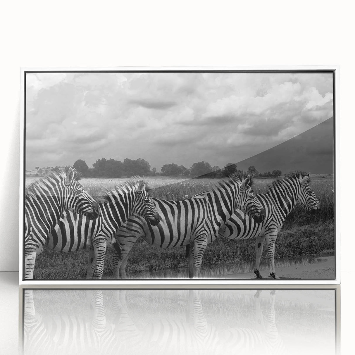 Framed acrylic wall art featuring a striking zebra design, showcasing bold black and white stripes against a sleek white frame, ideal for modern decor.