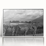 Framed acrylic wall art featuring a striking zebra design, showcasing bold black and white stripes against a sleek white frame, ideal for modern decor.