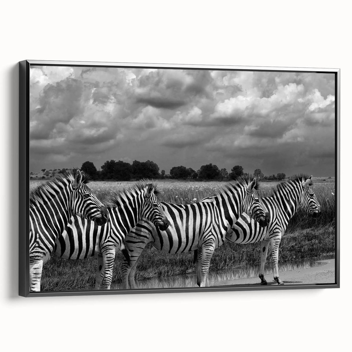 Framed canvas wall art featuring a striking zebra design in black and white, showcasing intricate details and textures, perfect for wildlife enthusiasts' decor.