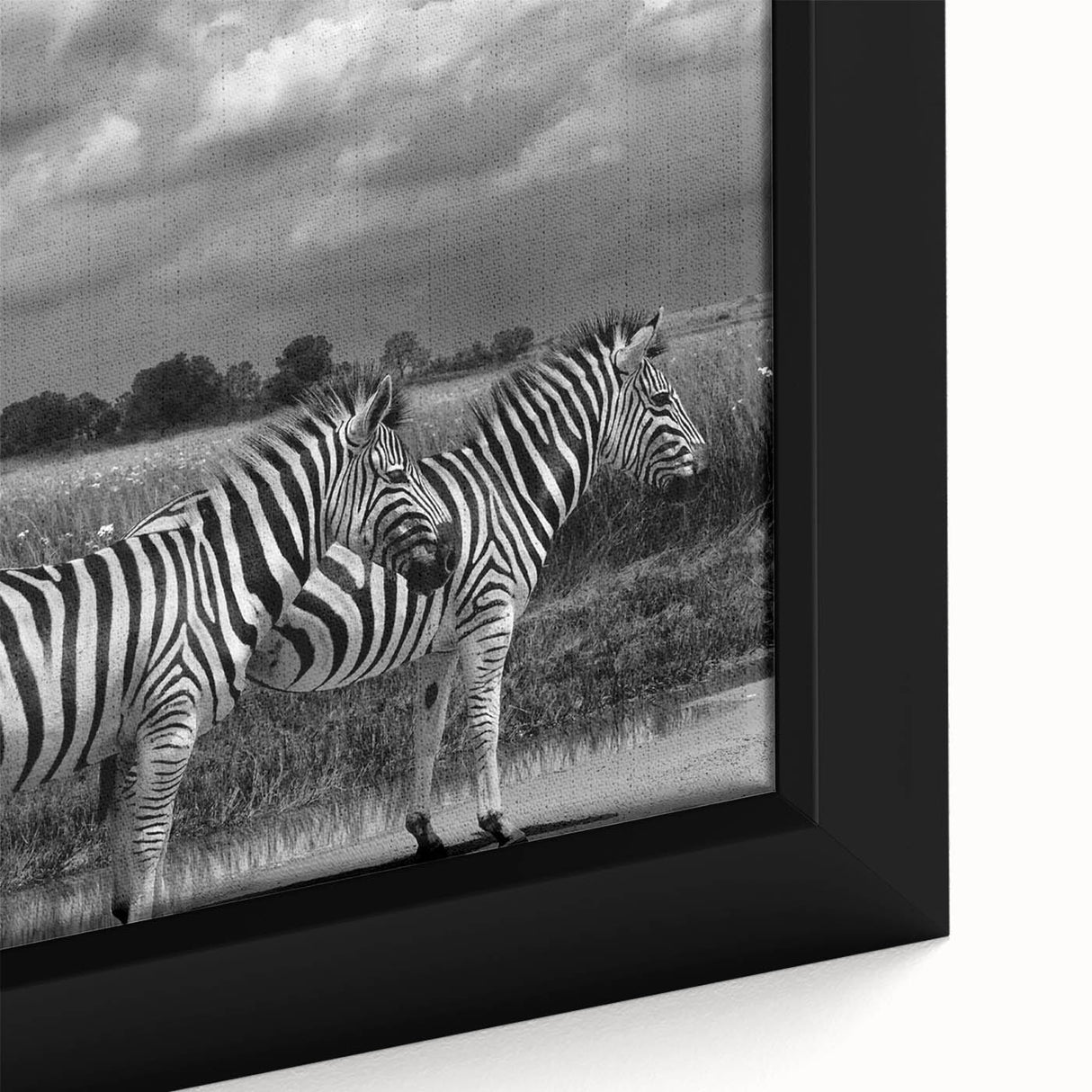 Close-up of a framed canvas wall art featuring a striking zebra design, showcasing bold black and white stripes, perfect for animal-themed home decor.