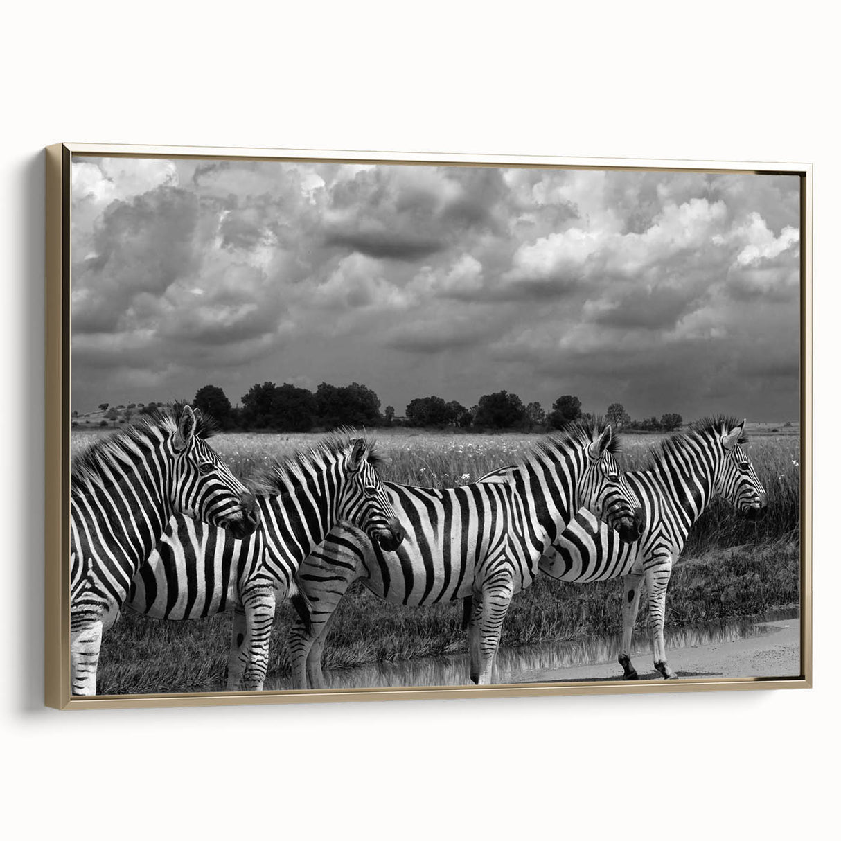 Framed wall art featuring a striking zebra design in gold tones, showcasing a side view of the animal against a textured background, ideal for wildlife decor enthusiasts.
