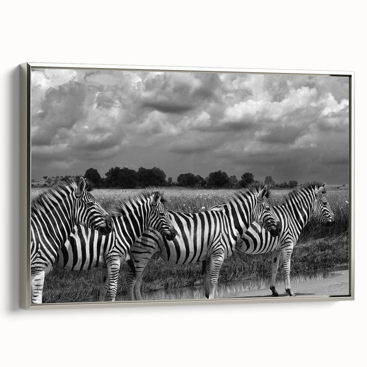 Framed wall art featuring a striking zebra design in black and white, elegantly displayed from a silver side view, enhancing modern decor with a wildlife theme.