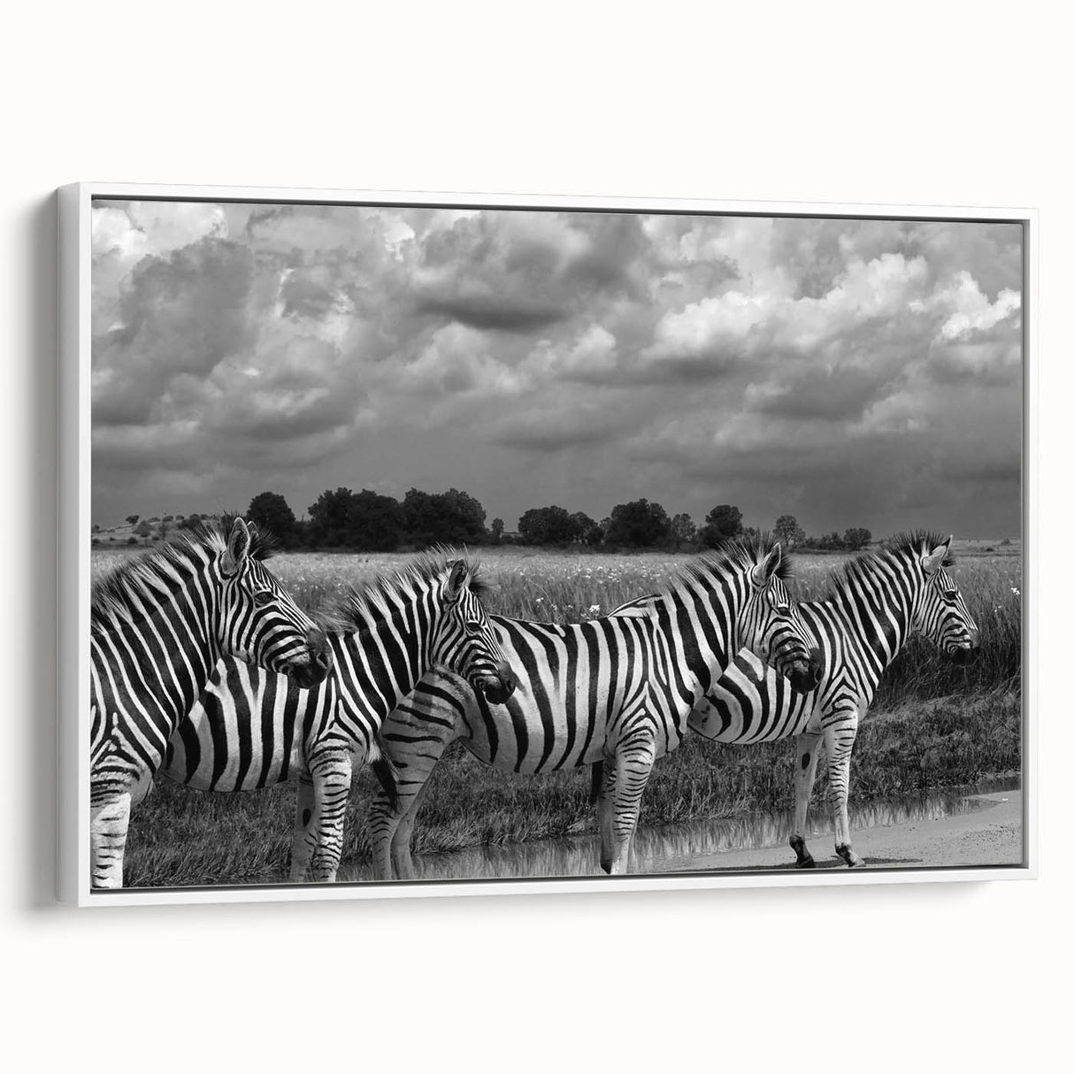 Framed canvas wall art depicting a striking zebra design in a white frame, showcasing bold black and white stripes, perfect for adding a touch of wildlife elegance to home decor.