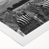 Zebra design wall art on rolled canvas, showcasing vibrant black and white stripes, ideal for adding a touch of wildlife decor to any space. Perfect for animal lovers.