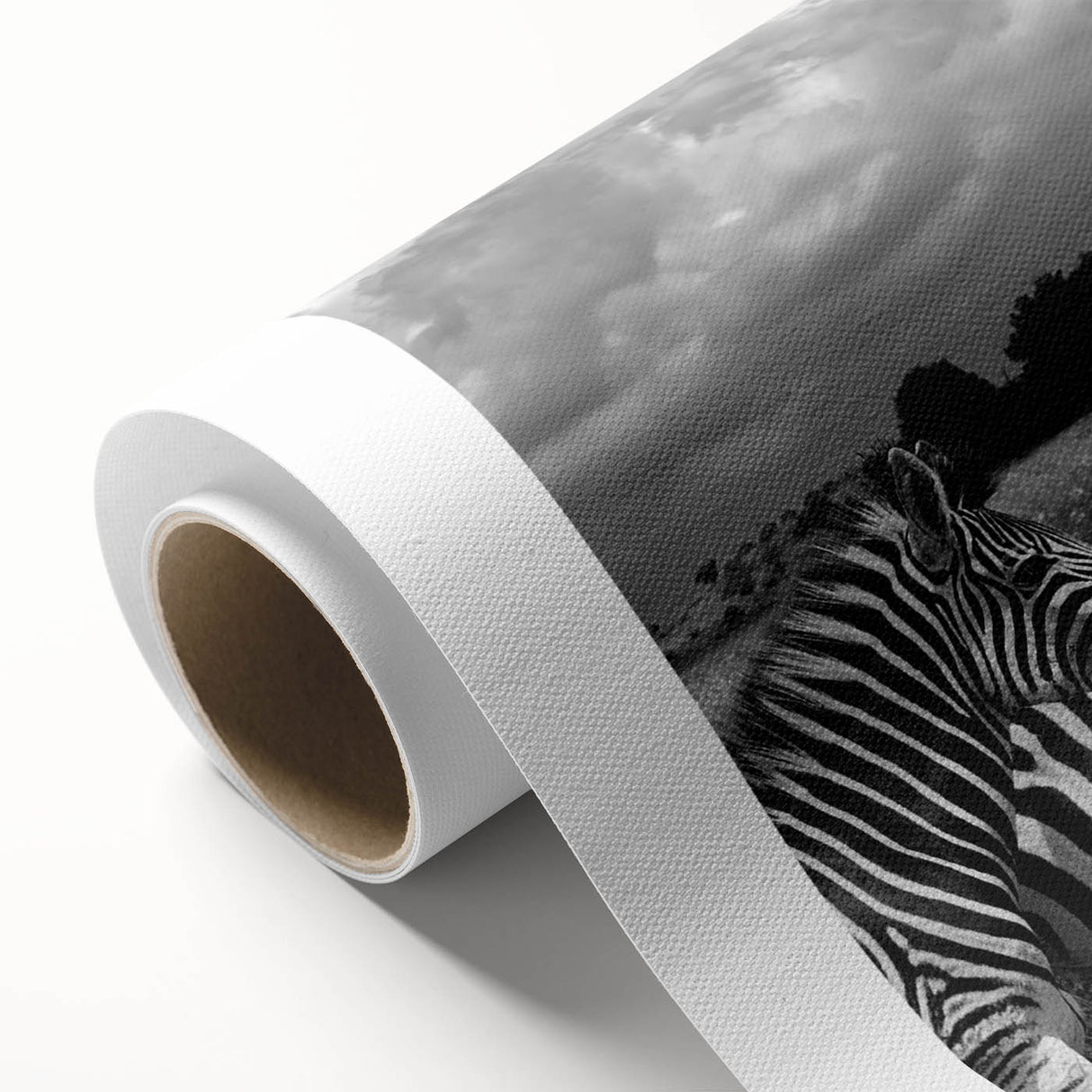 Striking wall art canvas design showcasing a vibrant zebra pattern, ideal for animal lovers and home decor enthusiasts, rolled for easy display and shipping.