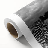 Striking wall art canvas design showcasing a vibrant zebra pattern, ideal for animal lovers and home decor enthusiasts, rolled for easy display and shipping.