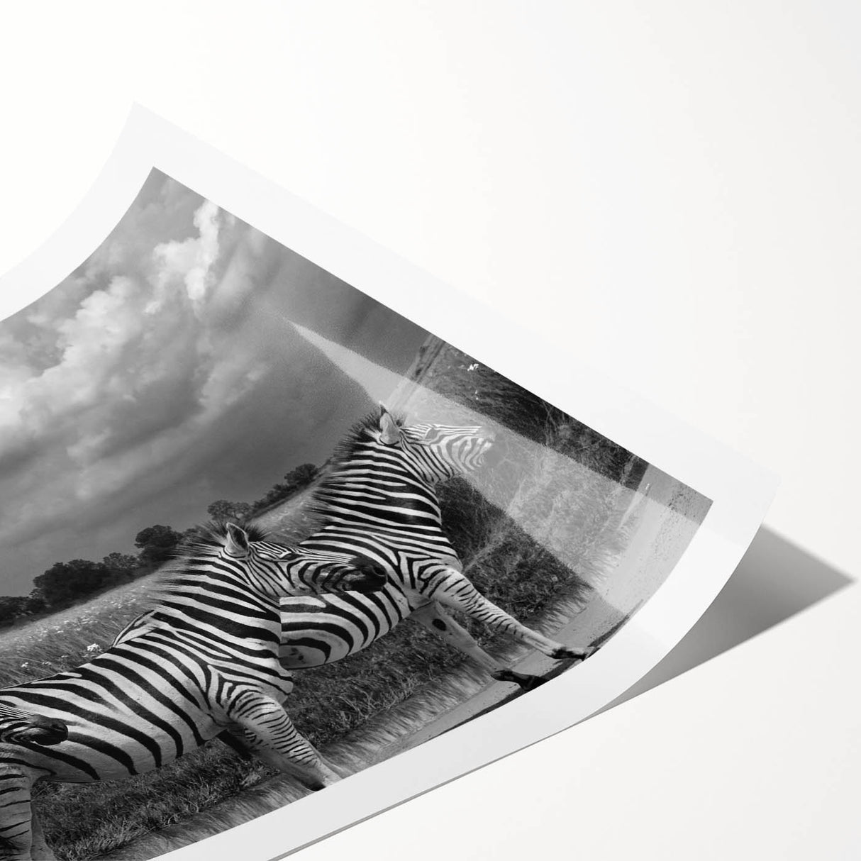 Zebra design wall art print showcasing a vibrant and detailed depiction of a zebra in a natural setting, ideal for animal lovers and home decor enthusiasts.
