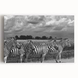 Stretched canvas wall art showcasing a striking zebra design, featuring bold black and white stripes, ideal for wildlife-themed decor in modern interiors.