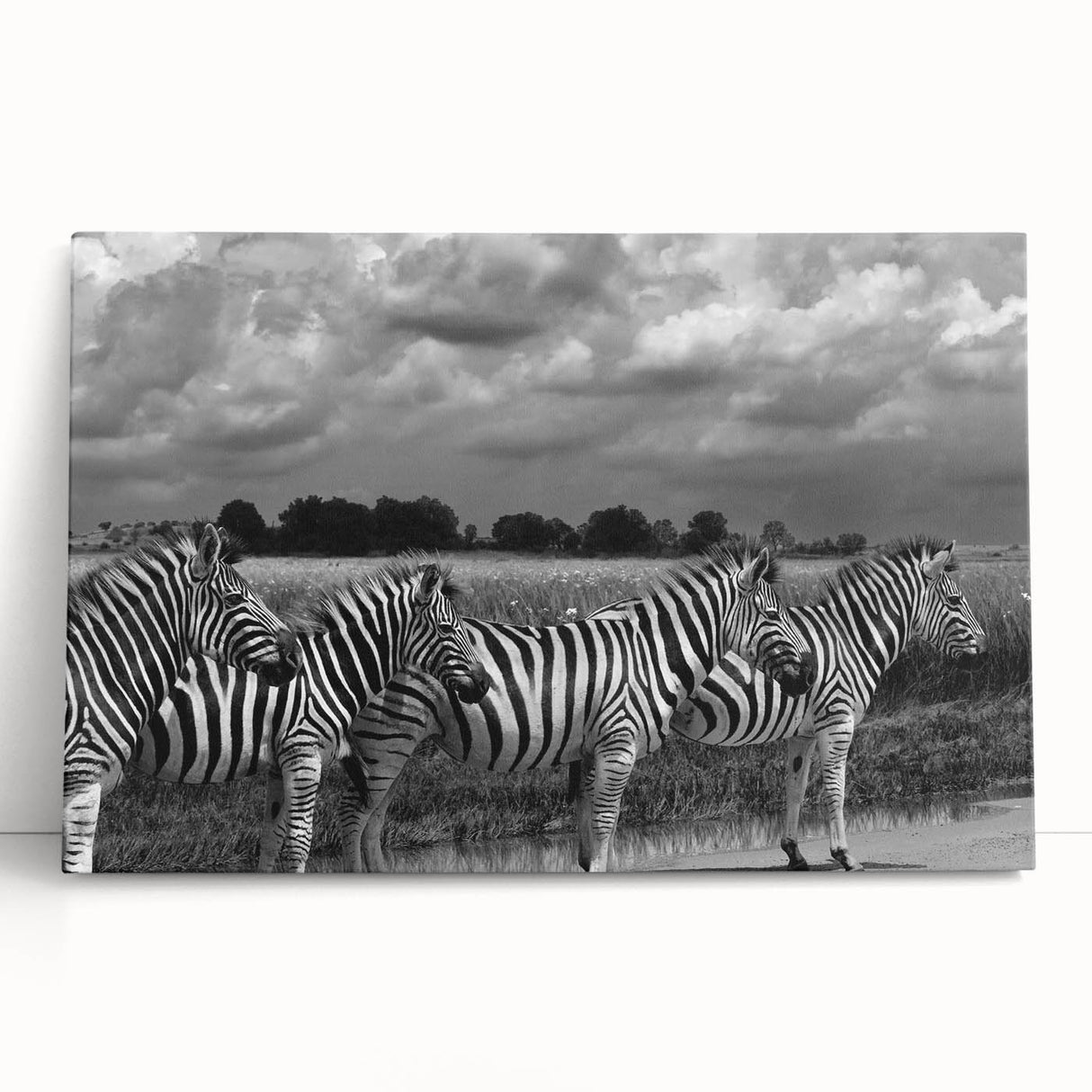Stretched canvas wall art depicting a vibrant zebra design, showcasing bold black and white stripes with a modern artistic flair, perfect for wildlife enthusiasts.