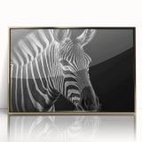 Framed wall art showcasing a striking zebra design, featuring a gold-accented border and acrylic front. Perfect for adding a touch of wildlife elegance to any decor.