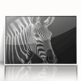 Framed acrylic wall art featuring a striking zebra design, showcasing black and white stripes against a clean white background, ideal for modern home decor.