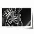 Zebra design wall art print showcasing a vibrant, stylized depiction of wildlife, perfect for animal lovers and modern decor enthusiasts. Rolled for easy framing.