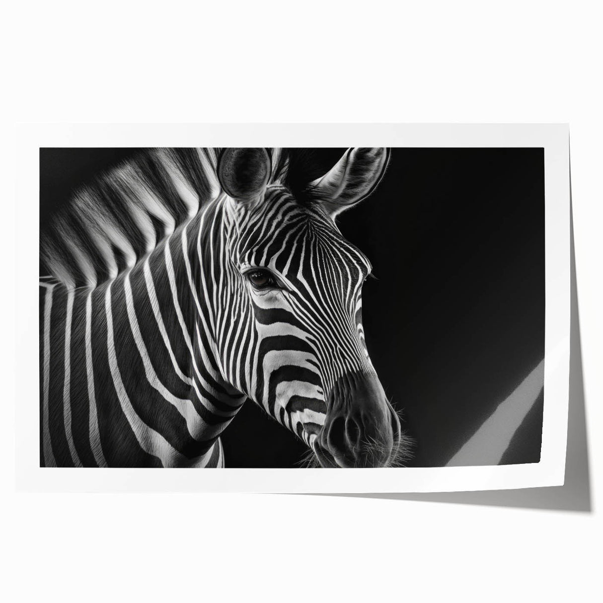 Zebra design wall art print showcasing a vibrant, stylized depiction of wildlife, perfect for animal lovers and modern decor enthusiasts. Rolled for easy framing.