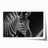 Zebra design wall art print showcasing a vibrant, stylized depiction of wildlife, perfect for animal lovers and modern decor enthusiasts. Rolled for easy framing.