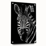 Acrylic wall art featuring a striking zebra design, showcased in a side view, mounted with pins for a contemporary display. Ideal for animal-themed decor.