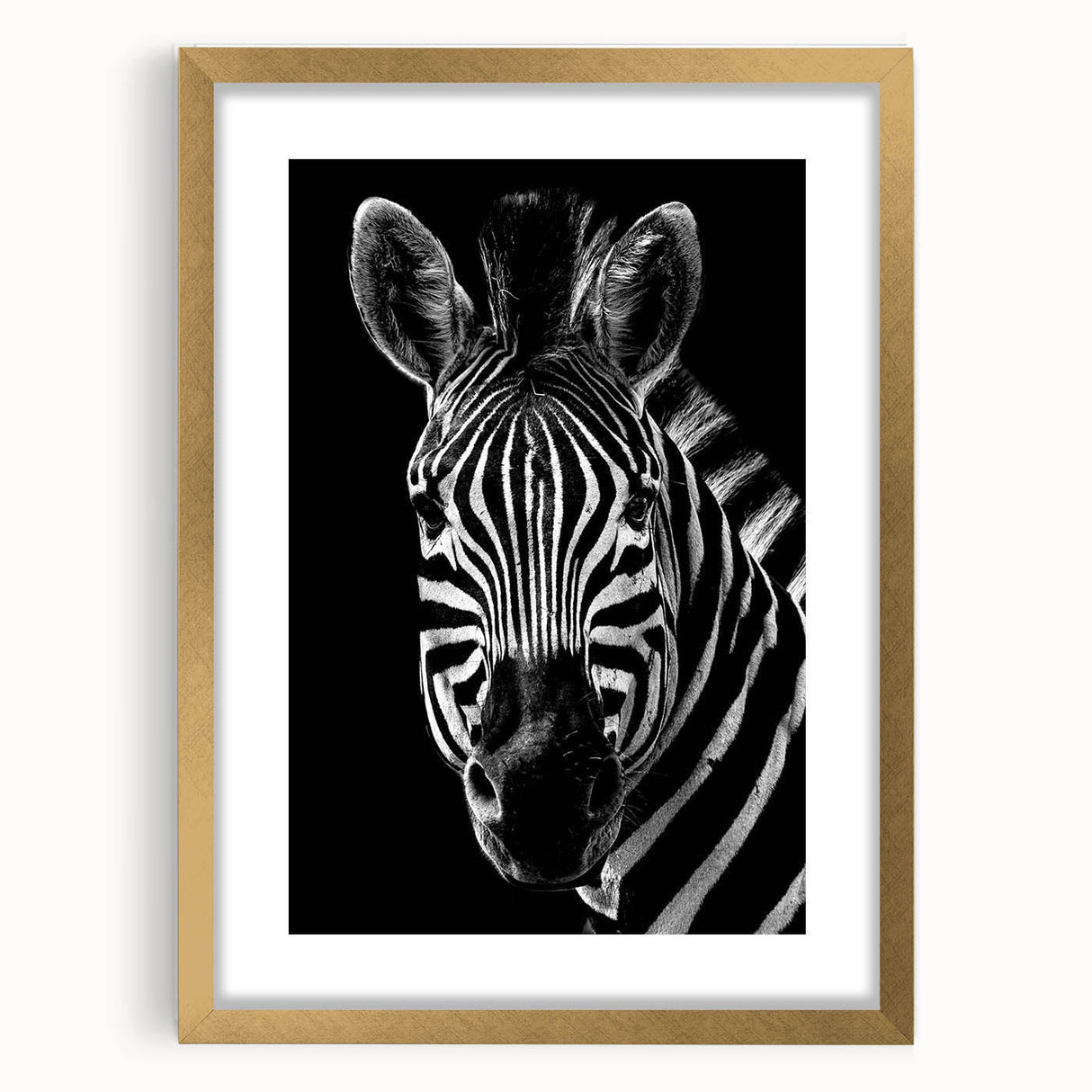 Framed wall art collection featuring a striking zebra design, with a gold frame and matting, ideal for animal-themed decor in modern interiors.