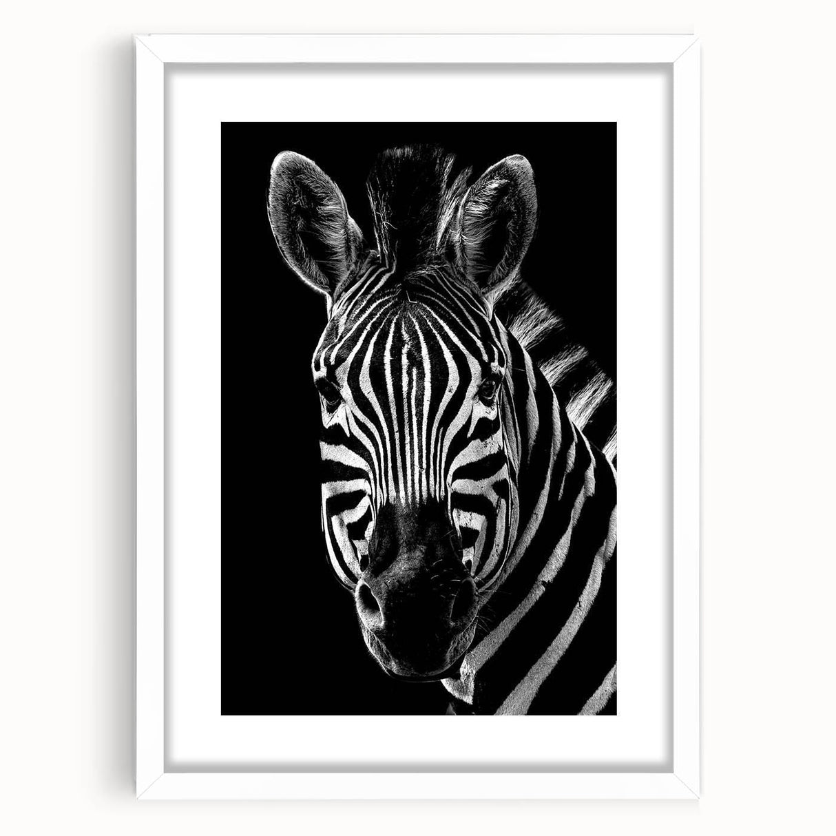 Zebra-themed wall art collection featuring a framed design with a white mat, showcasing intricate patterns and textures, perfect for enhancing modern decor.