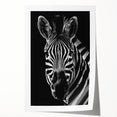 Zebra design wall art print showcasing striking black and white stripes, ideal for modern decor. Beautifully rolled and ready for framing or display.
