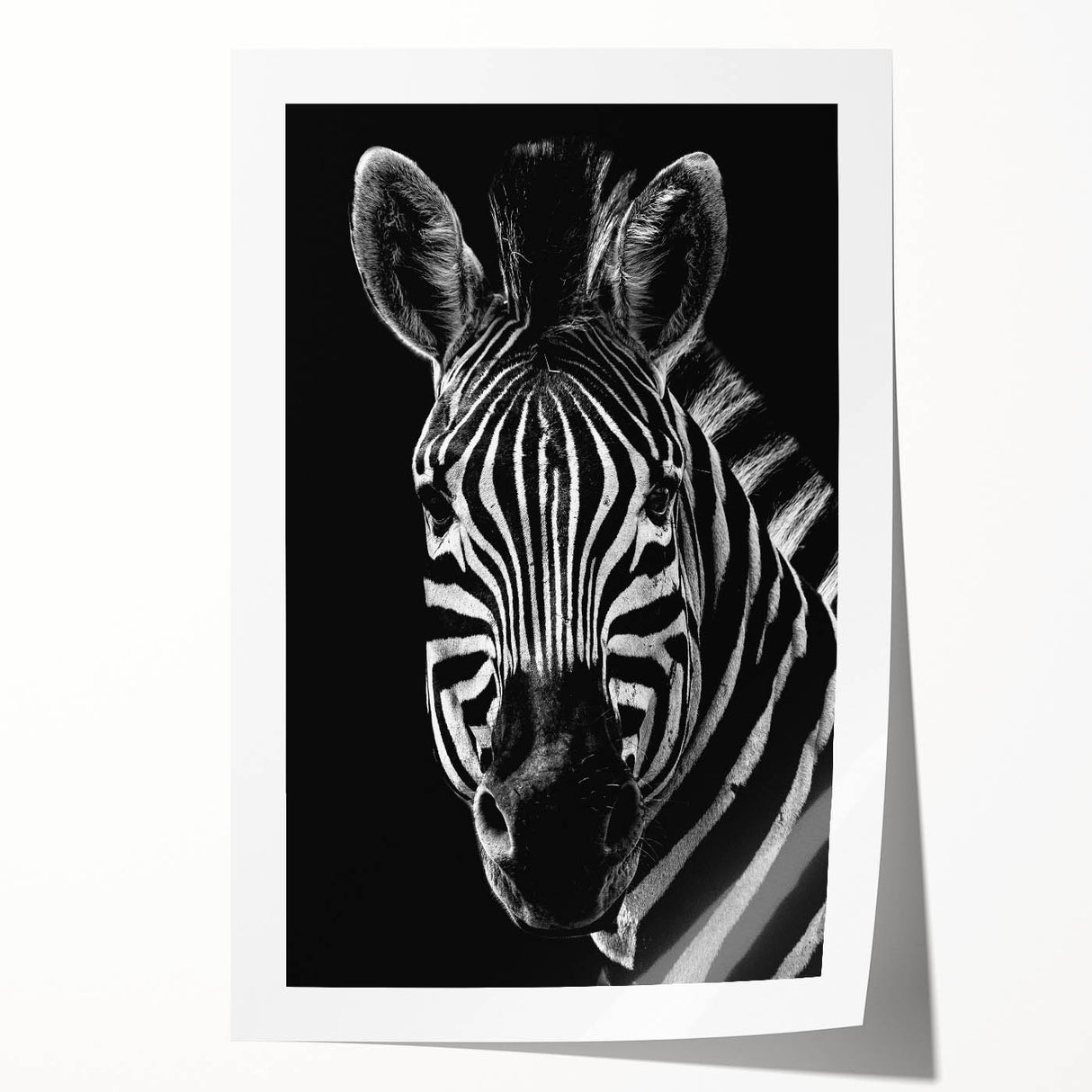 Zebra design wall art print showcasing striking black and white stripes, ideal for modern decor. Beautifully rolled and ready for framing or display.