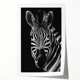 Zebra design wall art print showcasing striking black and white stripes, ideal for modern decor. Beautifully rolled and ready for framing or display.