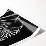 Zebra-themed wall art print featuring a striking black and white design, rolled and ready for display, ideal for animal lovers and modern decor enthusiasts.