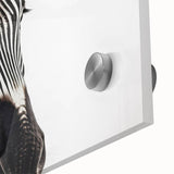 Close-up view of a vibrant zebra design wall art piece, showcasing intricate black and white stripes on acrylic glass, perfect for animal lovers and modern decor.