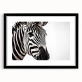 Black-framed wall art collection featuring a striking zebra design, showcasing intricate details and vibrant patterns, perfect for animal-themed decor.