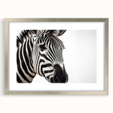 Zebra-themed wall art collection featuring five framed pieces with a sleek silver mat, perfect for adding a touch of wildlife elegance to home decor.