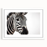 Zebra-themed wall art collection featuring five framed pieces with a white mat, showcasing intricate designs and vibrant colors, perfect for wildlife enthusiasts' decor.