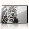 Framed acrylic wall art featuring a striking zebra design, showcasing vibrant black and white stripes, perfect for enhancing modern decor with a touch of wildlife.
