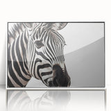 Framed wall art collection featuring a striking zebra design, showcasing bold black and white stripes in an elegant acrylic frame, perfect for modern decor.