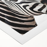 Rolled canvas artwork showcasing a vibrant zebra design, perfect for animal lovers, featuring bold black and white stripes, ideal for home decor.