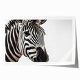 Zebra wall art print showcasing a striking black and white design, perfect for animal lovers and modern decor. Rolled canvas ready for framing or display.