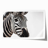 Zebra wall art print showcasing a striking black and white design, perfect for animal lovers and modern decor. Rolled canvas ready for framing or display.