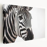 Stretched canvas wall art showcasing a vibrant zebra design in a wild safari setting, perfect for animal lovers and modern decor enthusiasts.
