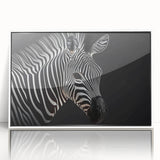 Framed acrylic wall art displaying a striking zebra design, featuring monochrome stripes and a sleek white frame, perfect for modern home decor.
