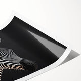 Zebra wall art print showcasing a vibrant black and white striped design, perfect for adding a touch of wildlife decor to any room. Ideal for animal lovers and modern home aesthetics.