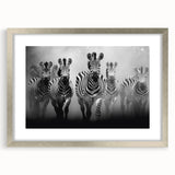Zebra wall art collection framed in silver with a mat, showcasing a striking black and white zebra design, perfect for modern home decor. Ideal for animal lovers.