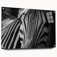 Side view of an acrylic glass wall art piece showcasing a zebra design from the 'Animals: A Wild Life' collection, featuring vibrant colors and unique pin details, perfect for animal lovers and modern decor.
