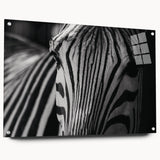 Side view of an acrylic glass wall art piece showcasing a zebra design from the 'Animals: A Wild Life' collection, featuring vibrant colors and unique pin details, perfect for animal lovers and modern decor.