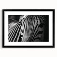 Black-framed wall art featuring a striking zebra design from the "Animals: A Wild Life" collection, perfect for adding a touch of nature to modern decor.