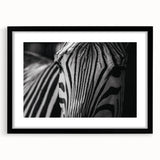 Black-framed wall art featuring a striking zebra design from the "Animals: A Wild Life" collection, perfect for adding a touch of nature to modern decor.