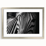 Framed wall art featuring a striking zebra design, elegantly matted and encased in a sleek silver frame, perfect for adding a touch of wildlife-themed decor to any space.