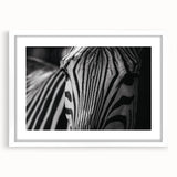 Zebra-themed wall art framed with a white mat, showcasing a striking black and white design, perfect for animal lovers and modern decor enthusiasts.