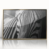 Framed wall art featuring a striking zebra design on acrylic, showcasing bold black and white stripes with a gold frame, ideal for adding a modern touch to any space.
