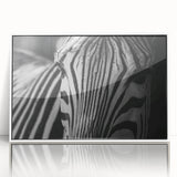 Framed acrylic wall art featuring a striking zebra design in black and white, showcased in a sleek white frame, ideal for animal-themed decor or wildlife enthusiasts.