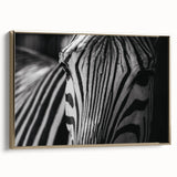 Framed canvas wall art showcasing a striking zebra design in black and white against a gold background, perfect for adding a wildlife theme to modern decor.